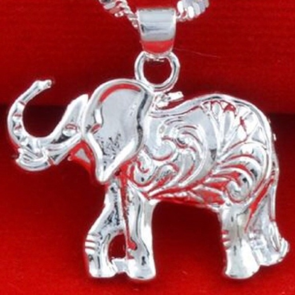 Silver Elephant pendant + 24” chain. 🔺🐘
